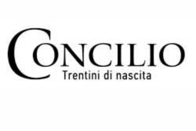 Concilio - Pinot Grigio Trentino DOC 2022