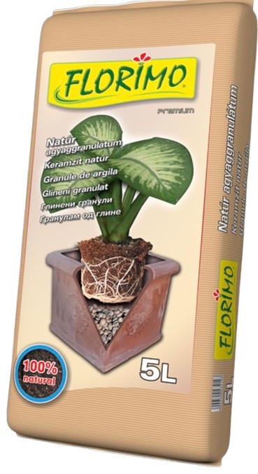 Agyaggranulatum Orchidea
