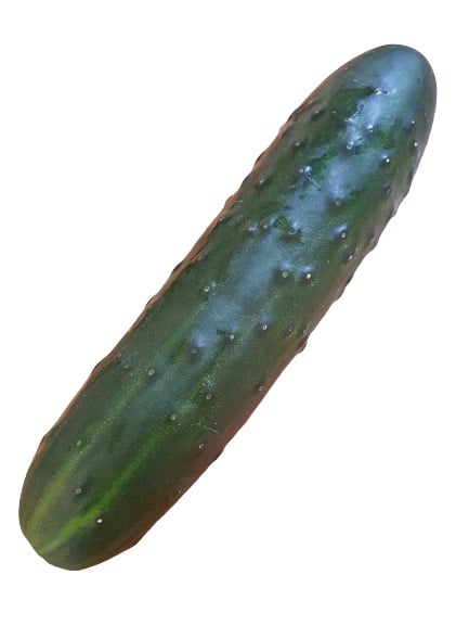 Magyar fürtös uborka