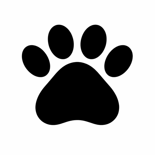 Kisállatok recepttára